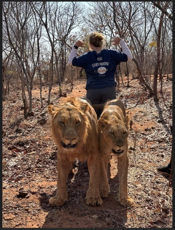 African Safari